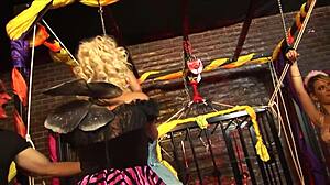 Strap-on teases horny cunts inch by throbbing inch tonight