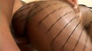 thick ebony bitches bent over shaking ass on monster bbc part 1