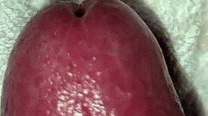 Ansima E Geme Sputando Sul Suo Grosso Cazzo Sega Lenta Intensa