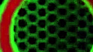 Sara Jay in Fishnets Rides Cowgirl, Blows, and Takes Doggy Creampie on Big Ass