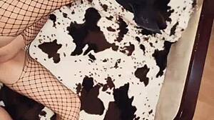 Skinny gypsy milf model exposes erotic lingerie