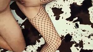 Skinny gypsy milf model exposes erotic lingerie