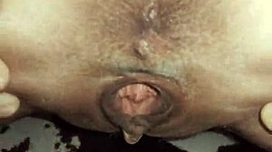 Skinny gypsy milf model exposes erotic lingerie