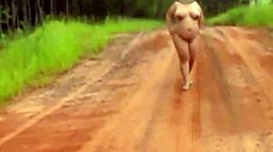 i'm pregnant wife walking naked on rural road in forest my old cuckold husband films