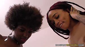 imagine me valentina nappi tangled with ebony queens julie kay and daizy cooper in squirting lesbian play
