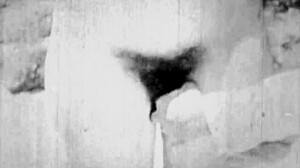 Ever seen vintage hairy nature girls flash beavers in antique retro films?