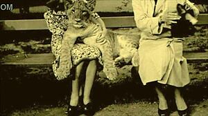 Ever seen vintage hairy nature girls flash beavers in antique retro films?