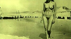 Victorian Gentleman's Secret Erotic Confessions With Vintage Beauties