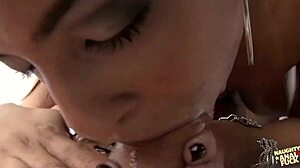 Curvy bella the oily latina takes your cock deep in her tight sloppy anal hole