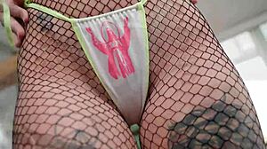 bbc pounds skinny slut's gaping asshole in pantyhose quickie