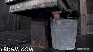 who wins this bdsm blowjob contest with bound girls sucking tight shaved pussies and cocks in rough game?