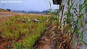 Secret Stop At Abandoned House Leads To Outdoor Thrill