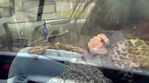 Bus Driver's Secret Woods Sex Encounter Unfolds