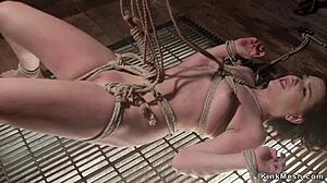 Bound Brunette Slave Endures Flogging and Deepthroat Torment in Tight Bondage