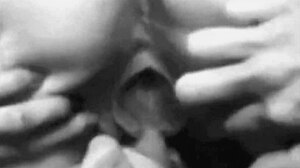 Secret vintage lesbian beaver play