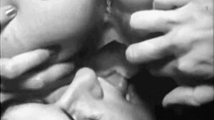 Secret vintage lesbian beaver play