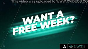 sheena ryder's nuru massage turns bride couple tribbing lick