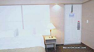 oiled ebony teen 18+ gives pov white cock sucking blowjob