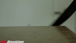 Professor Cums On Sera Ryder's Hairy Student Beaver.