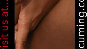 swollen black mama pussy gets pumped then licked and ridden hard