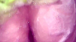 big ass stepsis lets bro creampie her wet pussy missionary style