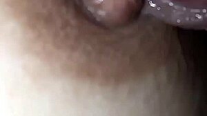 Capezzolo Dripping Saliva on Cappella