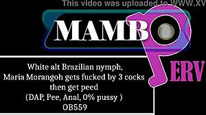 i'm maria morangoh that white brazilian nymph gettin fucked by 3 cocks then peed dap anal rimmed no pussy