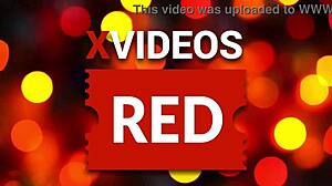 check out this cute music babe on xvideos red