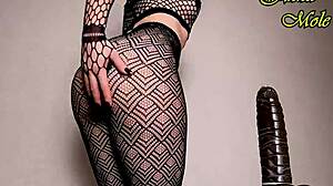 pawg in sexy black tights rides huge dildo up close
