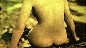 Vintage erotic art reveals retro sensual secrets
