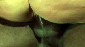 lauren phoenix, do you see her sitting on black cock bent over doggystyle with big tits gaping asshole?