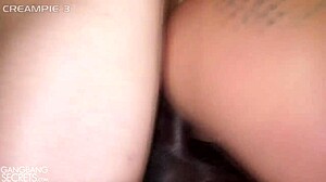 rachael takes all the bbc creampies in interracial gangbang