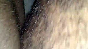 black hood queen slurps and rides dick like a pro, damn she takes it deep!