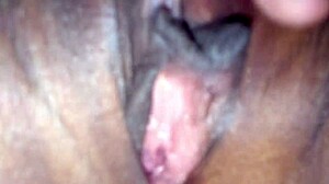 does newlywed bhabhi pay rent with pussy and ass fuck?