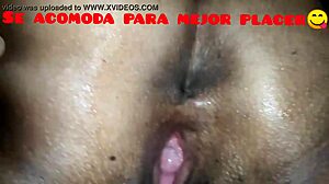 gently licking ecuadorian wife's ass vagina bent over intimate