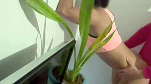my wife hired this cute petite latina cleaner with pigtails and i fucked her hard
