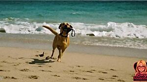 lucy strips nude on beach in enf embarrassment tale