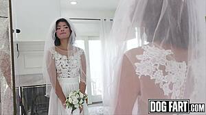 Hazel hearts sneaks monster cock ride before vows
