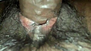 bangladeshi couple's massive cocks stretch her big ass pussy till cum overflows