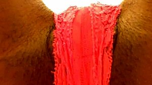 slim ebony babe teases with her fat pussy in thong panties
