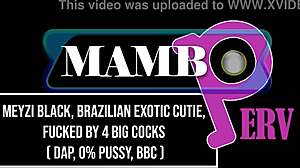meyzi black's exotic brazilian curves handle four huge cocks in wild dap action