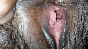 Young Desi village bhabhi shares intriguing moments with boyfriend on ranch