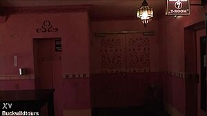 touring pascha brothel reveals koln's wild european tourist secrets