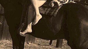 wow vintage hairy pussy pounded doggystyle bent over outdoors taboo!