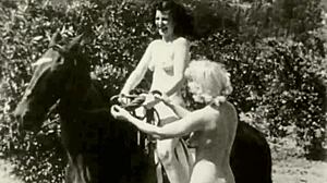 wow vintage hairy pussy pounded doggystyle bent over outdoors taboo!