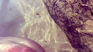 A Stranger's Cumshot Feeds Fish Public Beach Milf Handjob Boob Tease