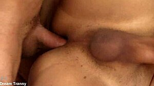 sara oliveira's tight tranny ass gets bareback fucked and creampied hard