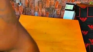 sundaydogood614 update 431 video from august 27 2024