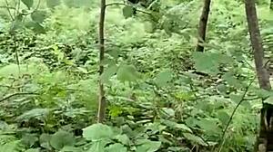 blonde milf bends over big ass for doggystyle pounding in forest then facial