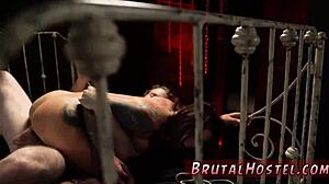 Bound teen tourists bent over in extreme doggystyle domination with felicity feline